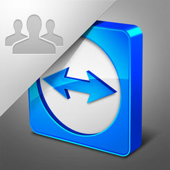 TeamViewer Meeting